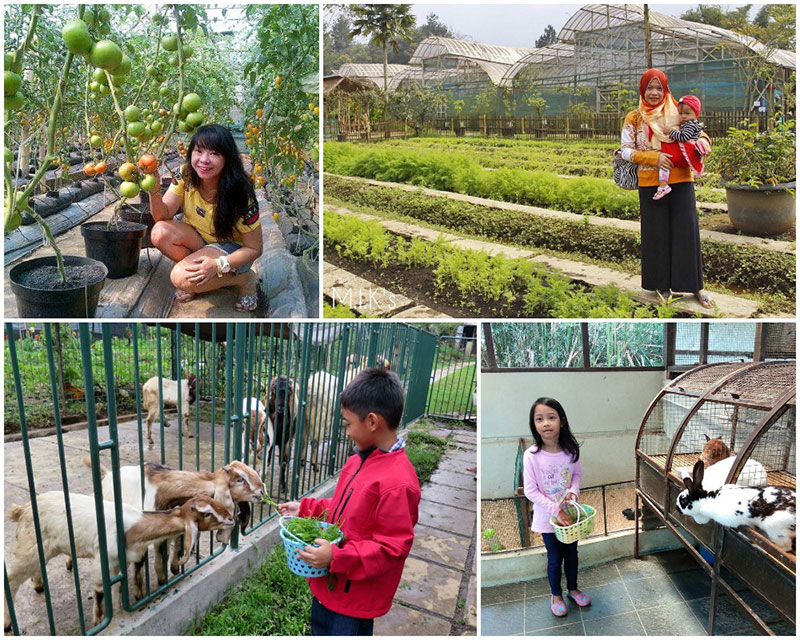 Kebun Jendela Alam Bandung